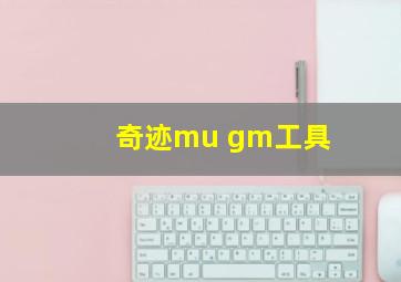 奇迹mu gm工具